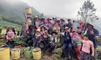 MIT台灣誌 藍色部落飄菁青清的茶香 高山嚮導 里佳務農札記